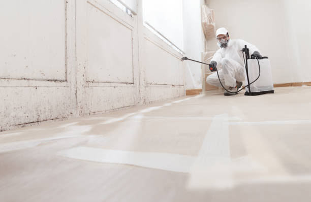 24/7 Emergency Mold Removal experts in Verona, VA